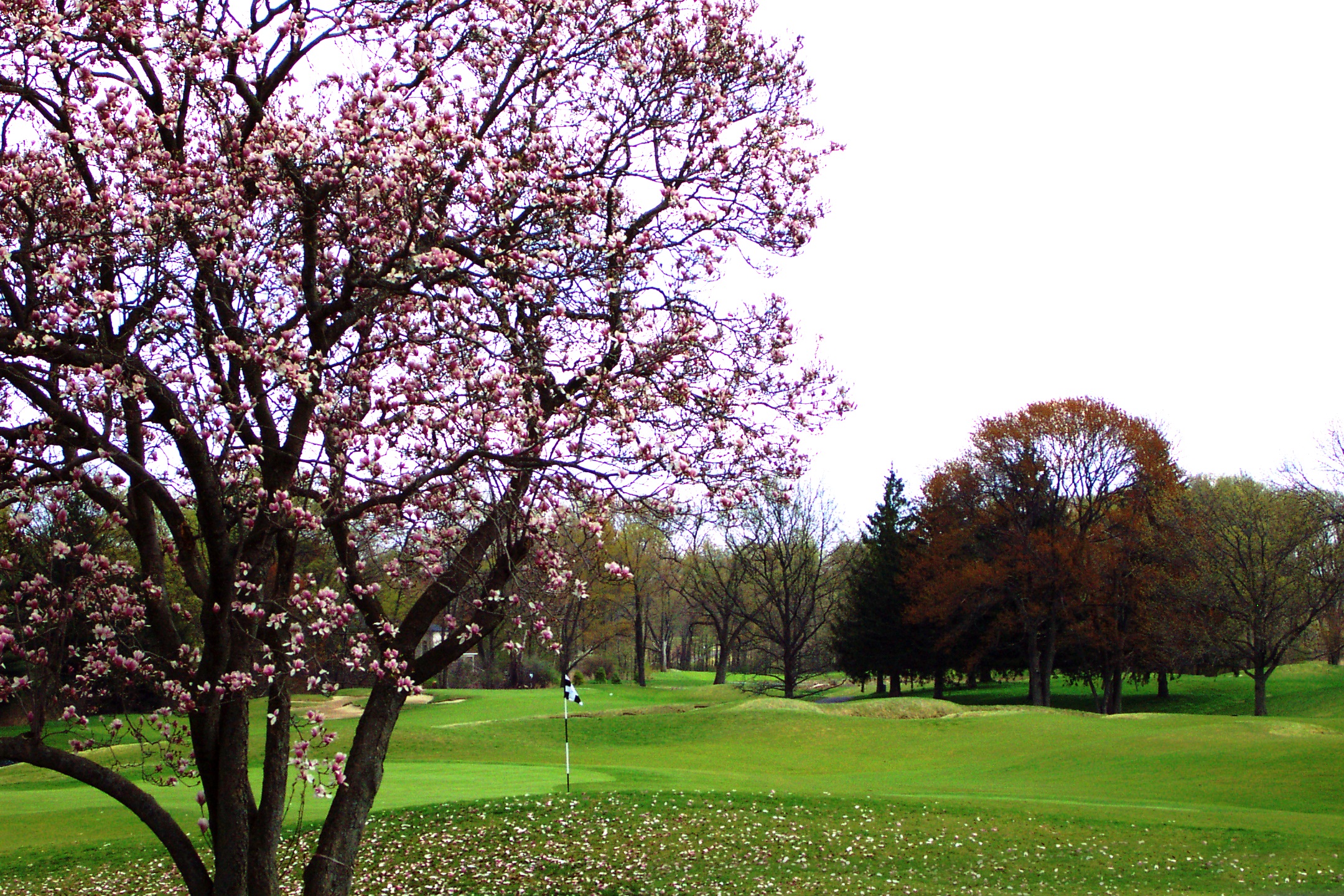 Gillette Ridge Golf Club Womens Golf Day
