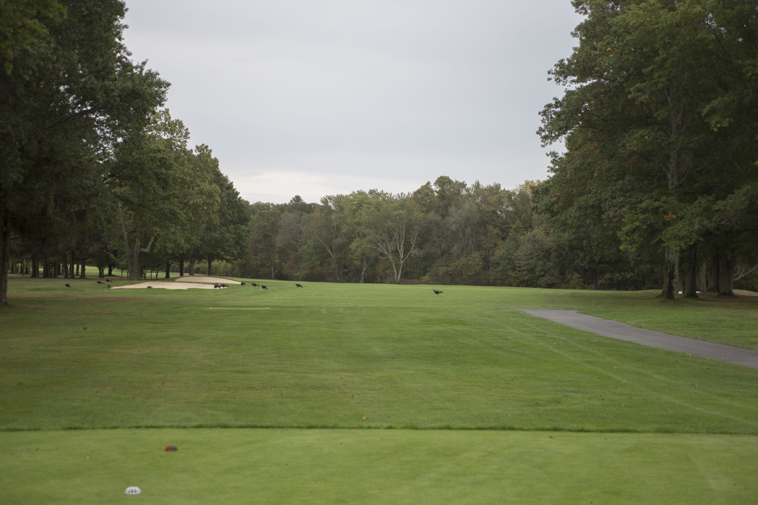 Ledgemont Country Club Womens Golf Day
