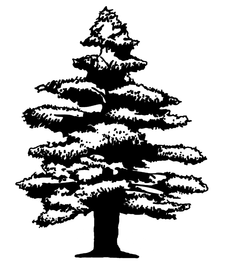 PVCC BW Logo 768x902