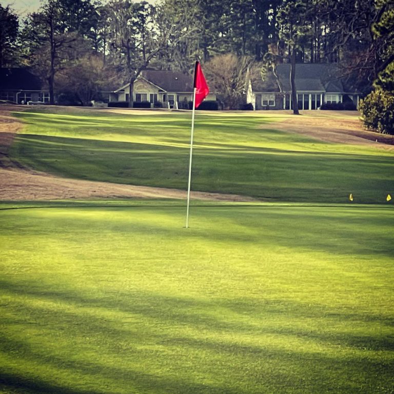 138384936 117817413527961 6745233594343689298 n 768x768