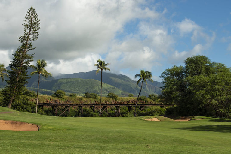 4 Kai tressle in background 768x513