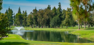 FB 20190703 DSC01678 HDR 300x146