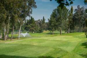 FB 20190703 DSC01751 HDR 300x200