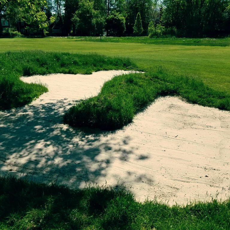 IMG 20180526 111628 480 768x768