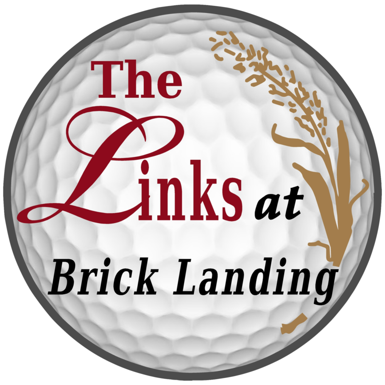 THE LINKS LOGO W CRATERS 768x768