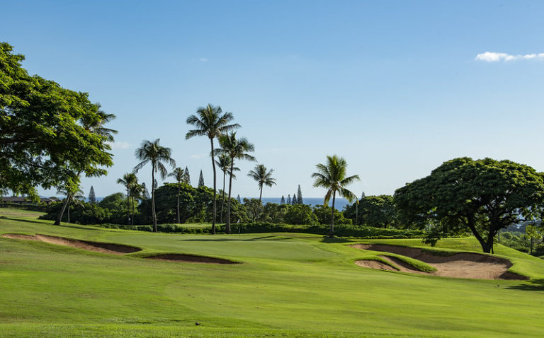 green for days kai 768x478