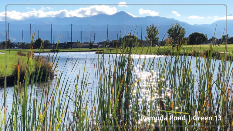 2019 HD photo gallery Remuda gree12 HD 768x432