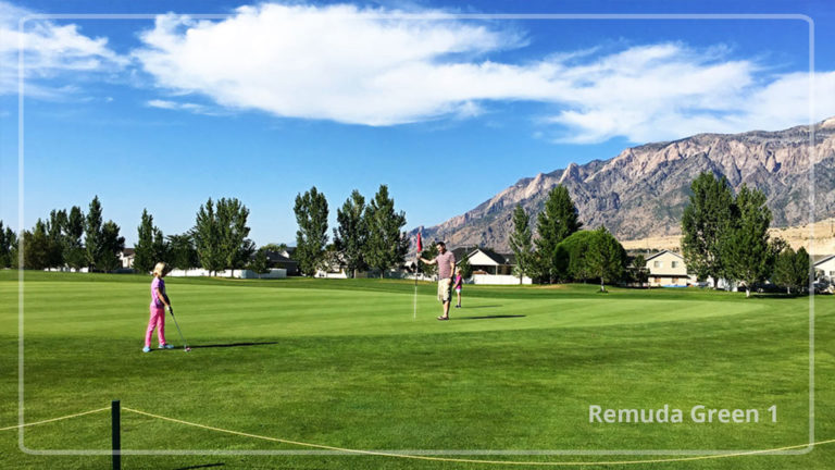 2019 photo gallery remuda green1 HD 768x432