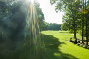 7DCF63B8 0EAF 4DAC B2EF 463F7A5C6C3E 1 105 c 300x200