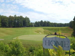 87A917EC F953 4B37 A3FE 525E9AE60D6A 1 105 c 300x225