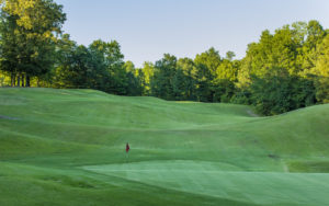 9BF82646 E0E1 49C3 8057 90671F65F756 1 105 c 300x188