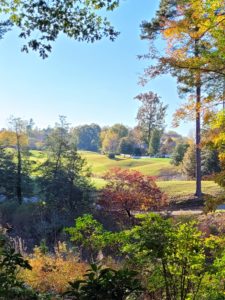 BoSFall21.029 225x300