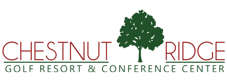 Untitled 8.5 × 8 in 8.5 × 5 in 8.5 × 3 in 1 768x271