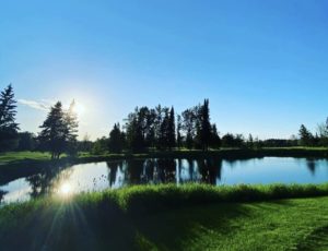 74AD59D7 75DD 436F B201 DCCA817AABB7 1 201 a 300x230