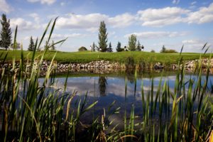 wascana 9 2.0 300x200