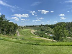 IMG 1661 Downsampled 300x225