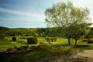 13398881 1578430302454890 1974006851 n 300x199