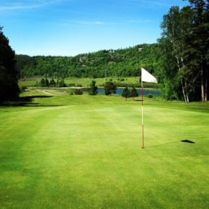 13534170 1659670187689602 1344334997 n 300x300