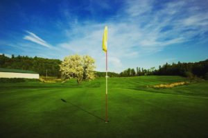 13556737 253387798386841 921555234 n 300x199