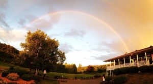 13562145 204843796579864 2028708554 n 300x165