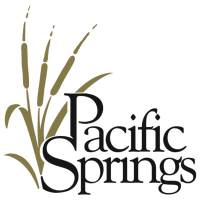 Pacific Springs Bronze 400x400