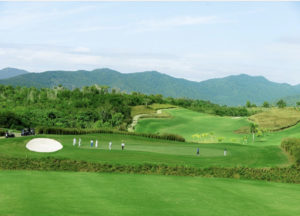 36084F47 88E4 4C40 B0AD F5ED4498EA3C 300x216