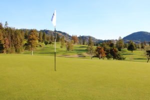 fairview mtn 4 green 300x200