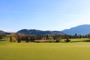 fairview mtn 5 green 300x200