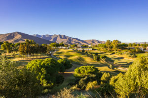 DSC8566 Enhanced 300x200