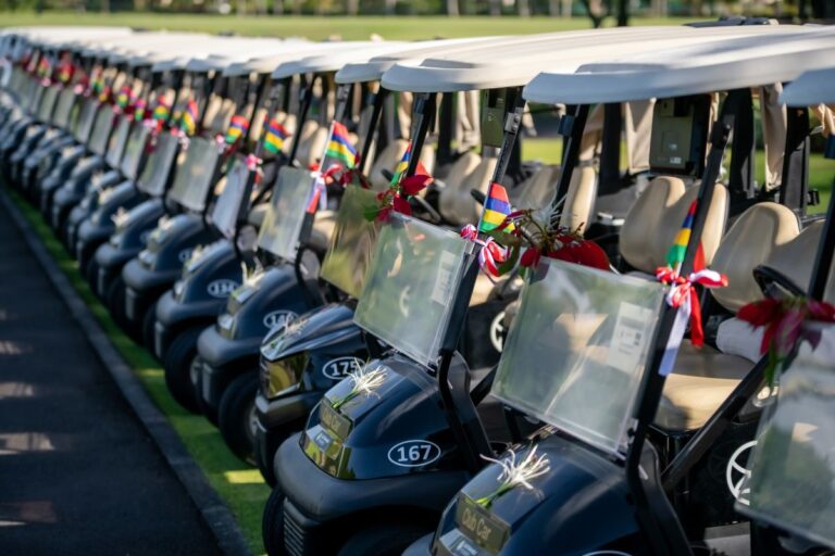 WGD WEBSITE 2 2 768x512