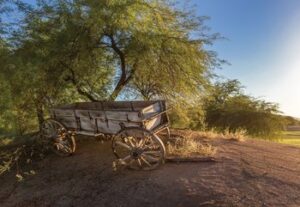 Legacy 20Golf 20Resort 20SVC 20AM 20048 H 300x207