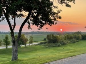 354081651211391470 300x225