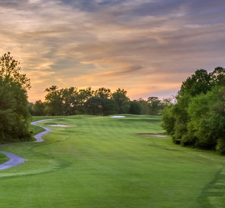 LV6 Vertical 1 768x709