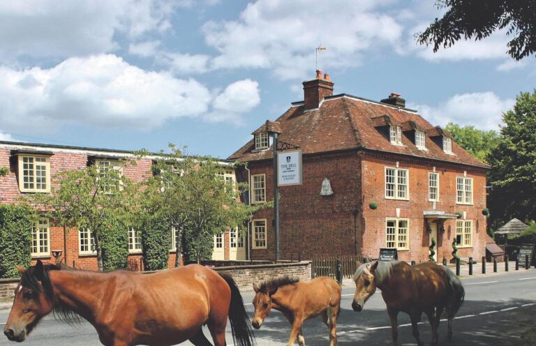Bell Inn front with ponies 768x496