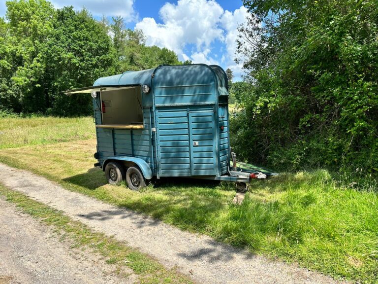 Bramshaw Manor Horsebox 1 768x576