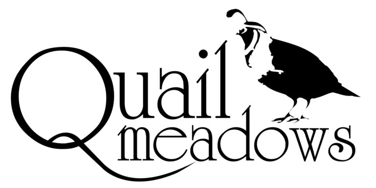Quail logo black 1 768x384