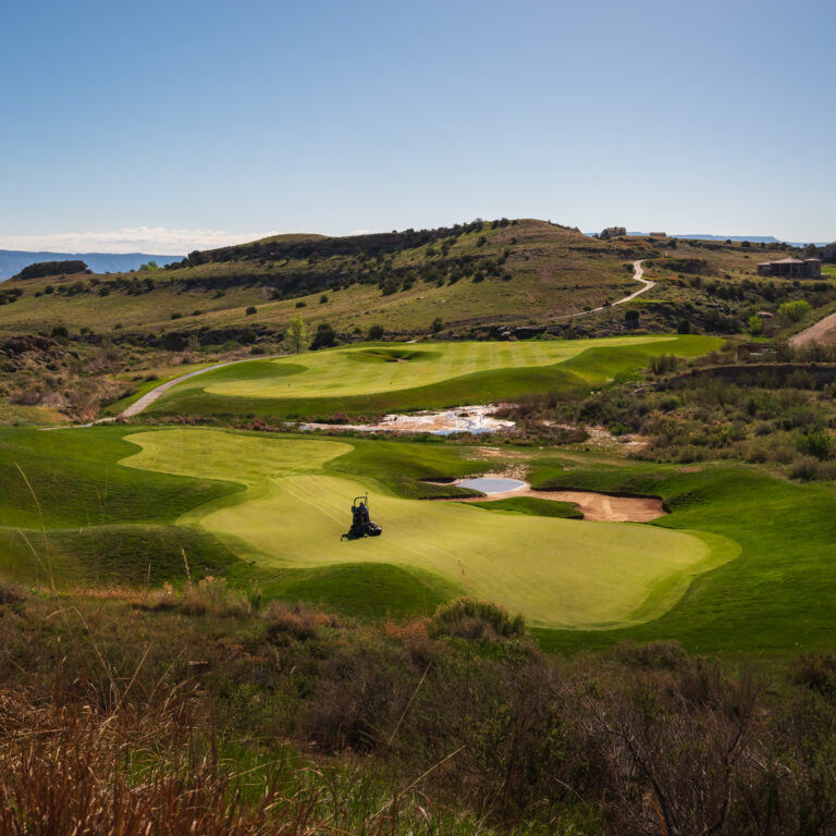 RM11IG 0523 01 768x768