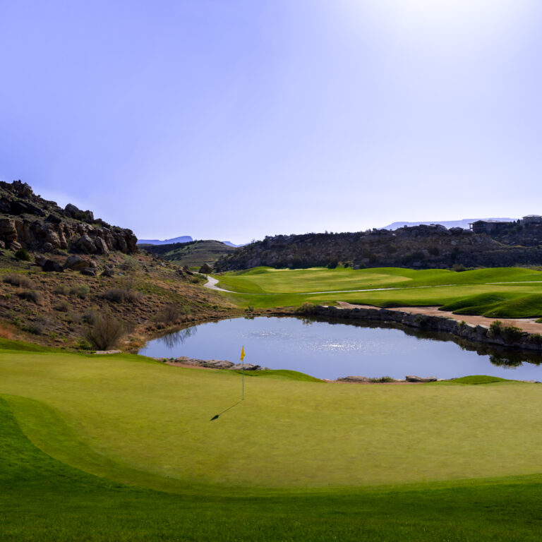 RM13IG 05233 768x768