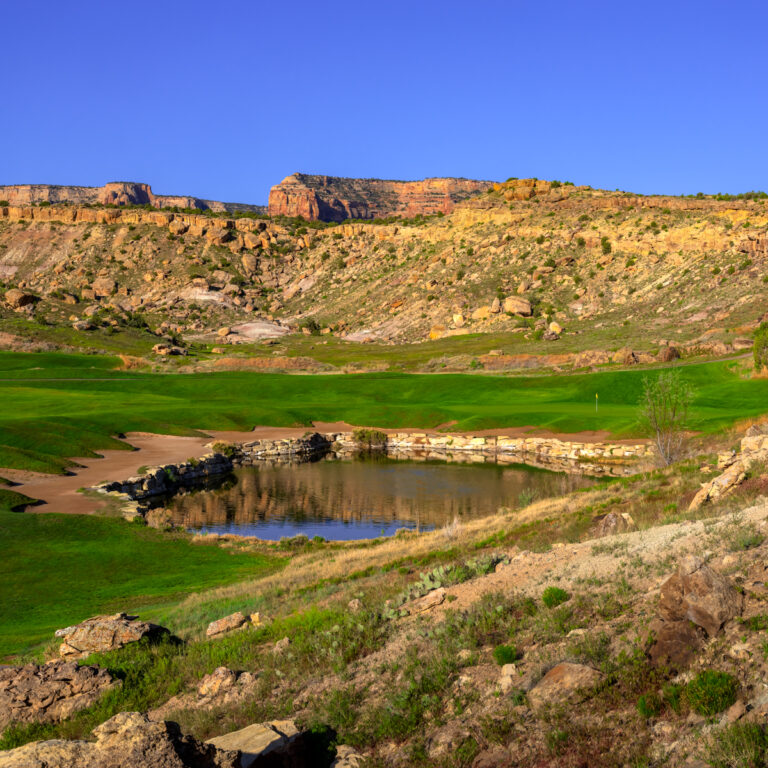 RM13IG 0523 04 768x768