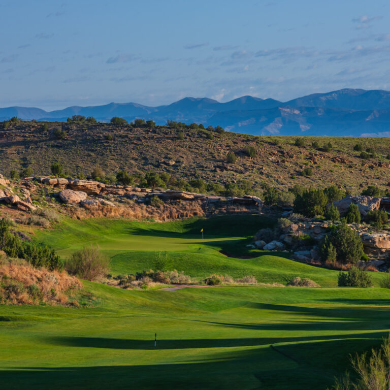 RM17IG 0523 01 768x768