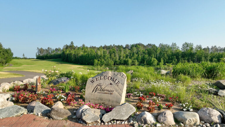 Wilderness Welcome 768x434