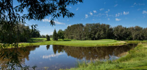 2012 051 Broadmoor 2nd from the approach 0534 1 300x144