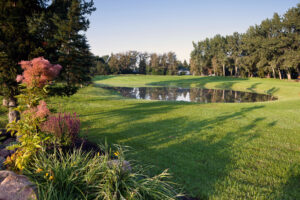 2012 051 Broadmoor 8th from the tee 0360 300x200