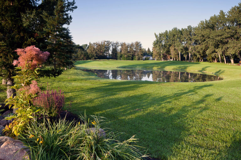 2012 051 Broadmoor 8th from the tee 0360 768x512