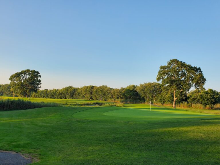 20230811 190517 WITH GRASS SLIGHT TOUCHUP 1 768x576