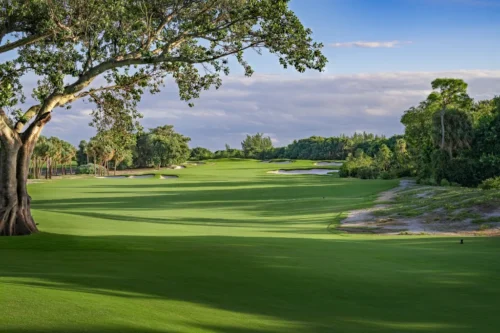 Blackmoor Golf Club's Event