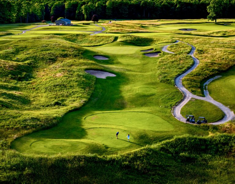 Trad scorecard option 768x601