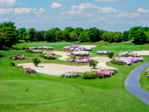 東8つつじ【おおむらさき】2 300x225