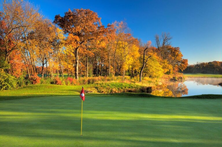 237 20141022 CANTIGNYSHARP 768x510