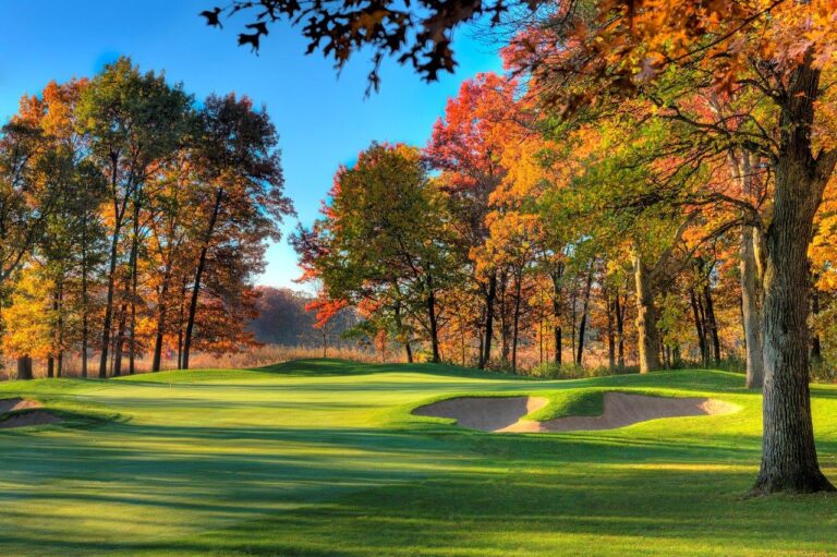 284 20141022 CANTIGNYSHARP 768x511